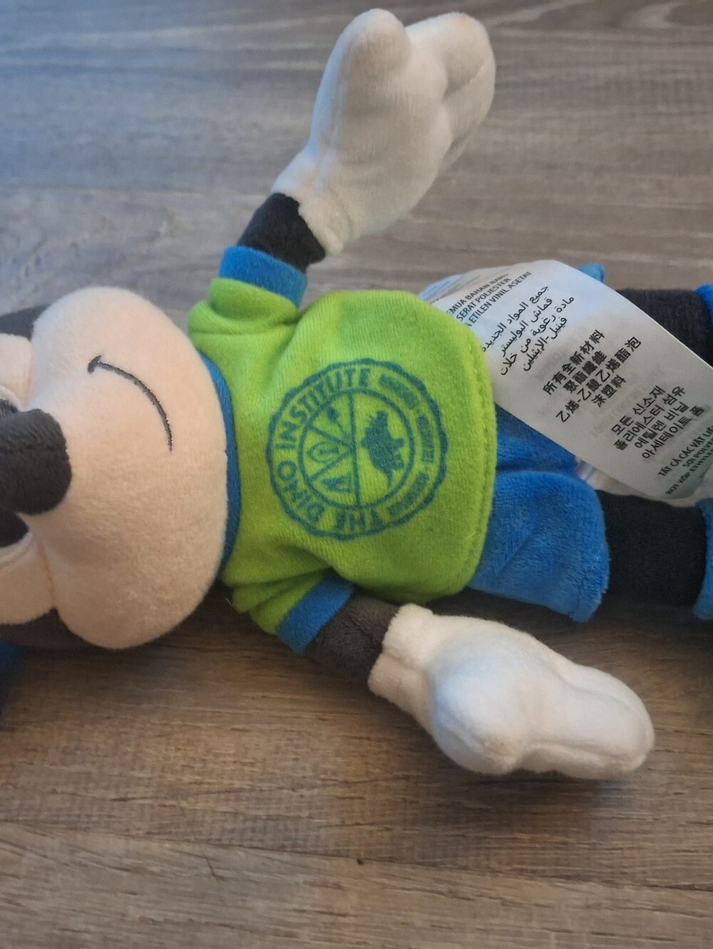 Disney Animal Kingdom Dinoland Dragon Plush & Mickey Mouse Retired Set - Picture 2 of 5
